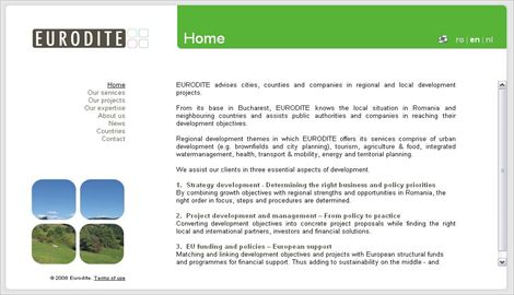 Website companie - EuroditeWeb design Sibiu